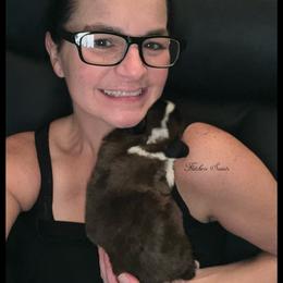 No collar - Mahogany and white female Saint Bernard puppy in New Philadelphia, Ohio from Fletchers Saints