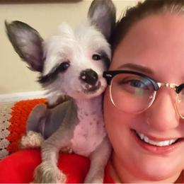 Chihuahua and Chinese Crested Puppies from Western Kentucky Chihuahua’s and Chinese Crested’s