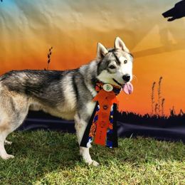 Siberian Huskies from LaddofOzz DarkMoon Siberians