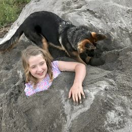 German Shepherd Puppies from Oregon German Shepherds