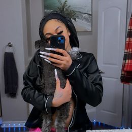 Miniature Schnauzer Puppies from Sugarbaby Kennel