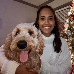Goldendoodle All Grown Up from Simply Doodles LLC