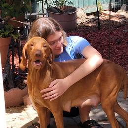 Panni - Vizsla