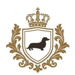 Dachshunds from Glossy Doxies