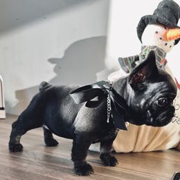 Black with tan points (OFA certified parents) - Black and tan female French Bulldog puppy in Billings, Montana from Montana Made Frenchies