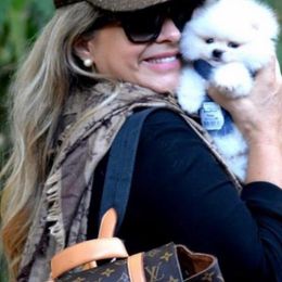 Pomeranian Puppies from Florida Loyals Pomeranian Breeder