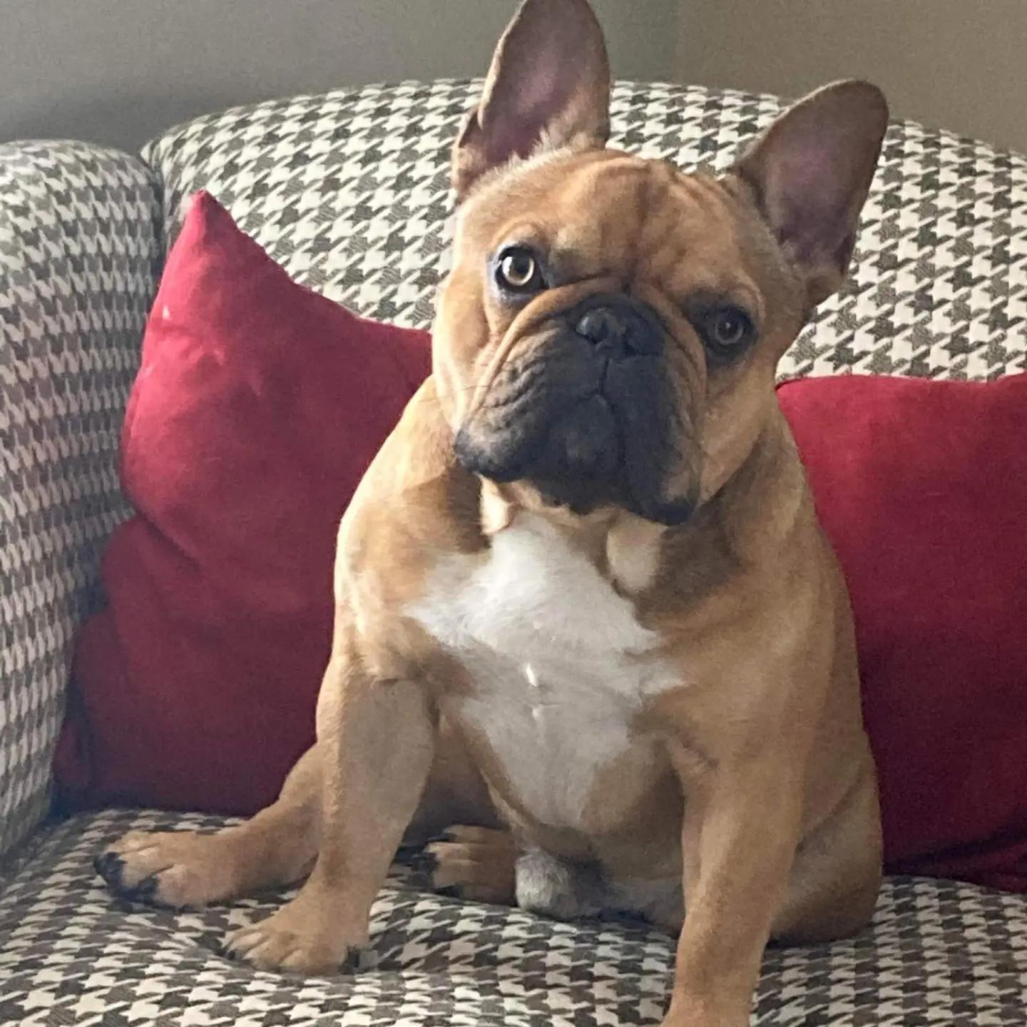 Sproull's fabulous Leo