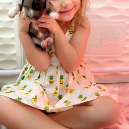 American Bully, Bernedoodle, Poodle, Sheepadoodle, and Whoodle Puppies from Wonderland’s Boujie Kennels
