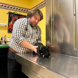 Scottish Terrier Puppies from Moo's Scotties