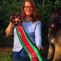 Belgian Tervuren from Flyway Kennels