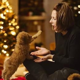 Irish Doodle puppies from Morningside Doodles