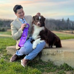 Australian Shepherd puppies from Empower