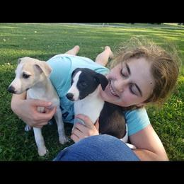 Whippet Puppies from Tigger’s Whippets