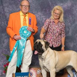 Naughty - Mastiff