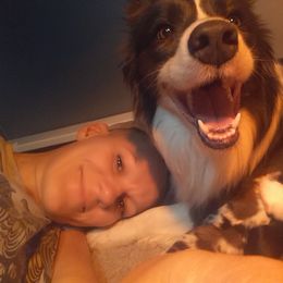 Border Collie Puppies from Overdrive Border Collies