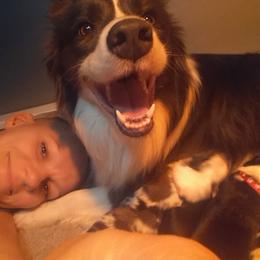 Border Collie Puppies from Overdrive Border Collies