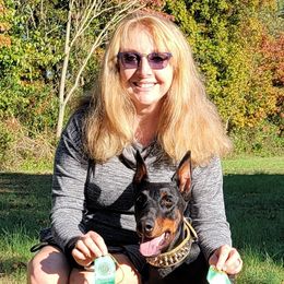 Doberman Pinschers from Gordon Farms Dobermans