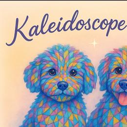 Schnoodles and Whoodles from Kaleidoscope Kennels