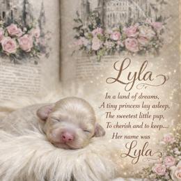Lyla - Fawn (isabella) and cream female Dachshund puppy in Washburn, Tennessee from Clinch Mountain Dachshunds
