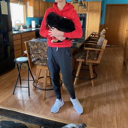 Bernese Mountain Dog Puppies from Lonesome Pine Farm