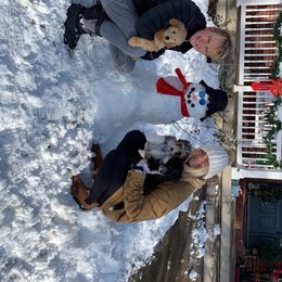 Aussiedoodle and Goldendoodle Puppies from Skyridge Doodles