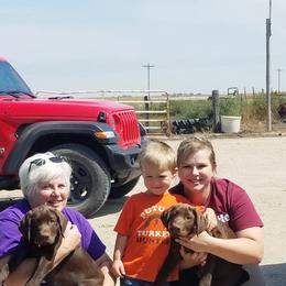 Labrador Retriever Puppies from High Prairie Canines