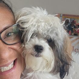 Havanese from Marcia Hamlet