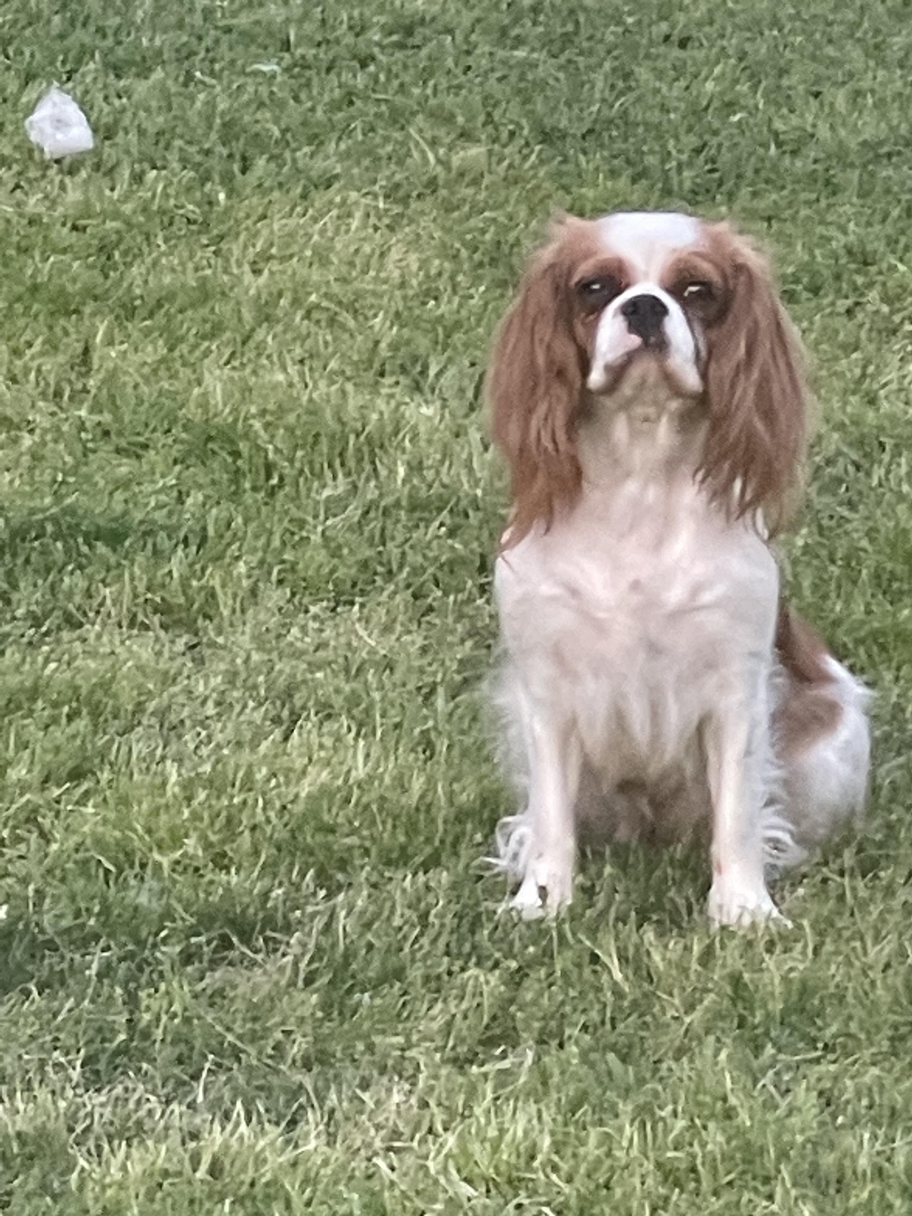 Lucy
