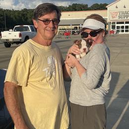 Boston Terrier Puppies from Bonze Boston Terriers