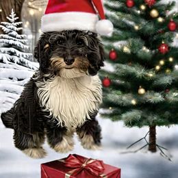 Kringle - Phantom male Bernedoodle puppy in Monument, Colorado from Colorado Dreamin Doodles