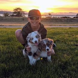 Australian Shepherd Puppies from Middle Fork Australian Shepherds