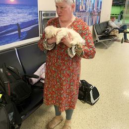 Coton de Tulear and Poodle Puppies from Legacy Pets