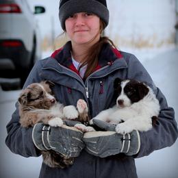 Australian Shepherds from Jackson Family Aussies