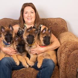 Belgian Tervuren Puppies from Meadowpark Belgian Tervuren, LLC