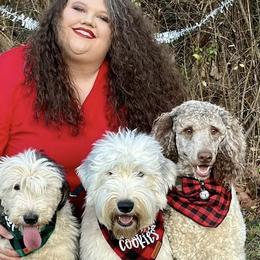 Poodles and Sheepadoodles from Smokey Mountain Sheepadoodles