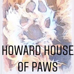 Goldendoodles from Howard House of Paws