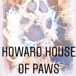 Goldendoodles from Howard House of Paws