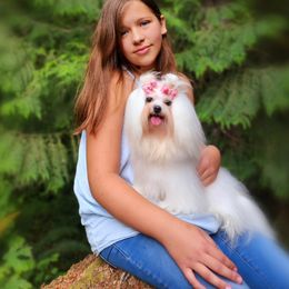 Angelika - Maltese