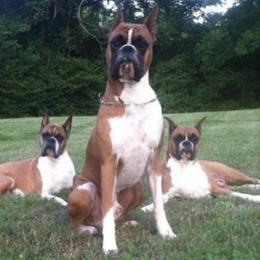Boxers from Epitome Boxers