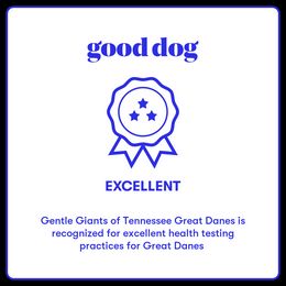 Great Dane Puppies from Gentle Giants of Tennessee Great Danes
