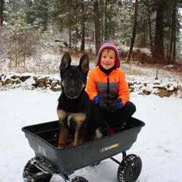 German Shepherd Puppies from Vom Haus Elbrus Kennel