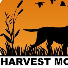 Curly-Coated Retrievers from Harvest Moon