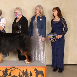 Bernese Mountain Dogs from Tollhaus Bernese Mountain Dogs