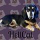 Hellcat