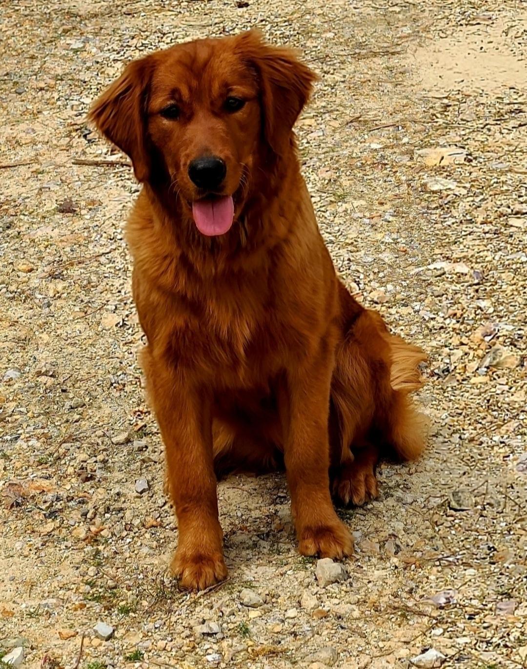 Emory