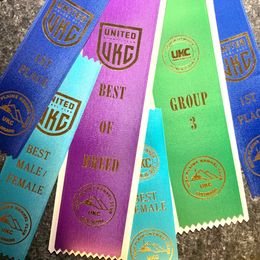 Biewer Terrier Puppies from Bouquet Biewers