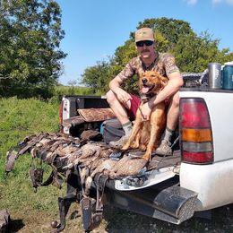 Golden Retriever All Grown Up from Golden Acres LLC