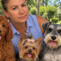 Miniature Schnauzers, Poodles, and Yorkshire Terriers from Ruby the poodle