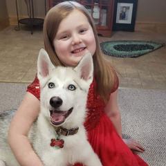 Siberian Husky Puppies from Marsh Creek Huskies