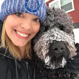 Goldendoodle All Grown Up from Simply Doodles LLC